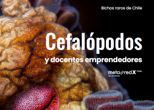 highlighted news image